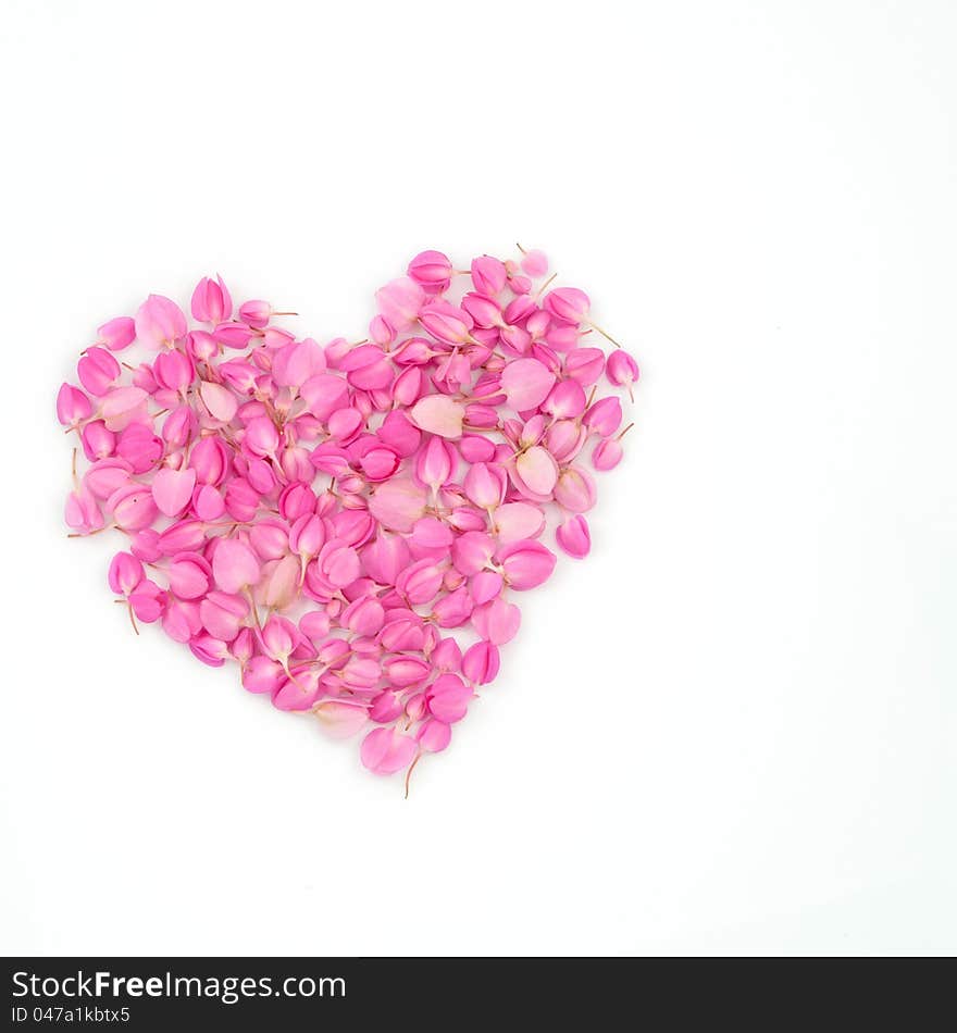 Pink flowers heart shape on white background