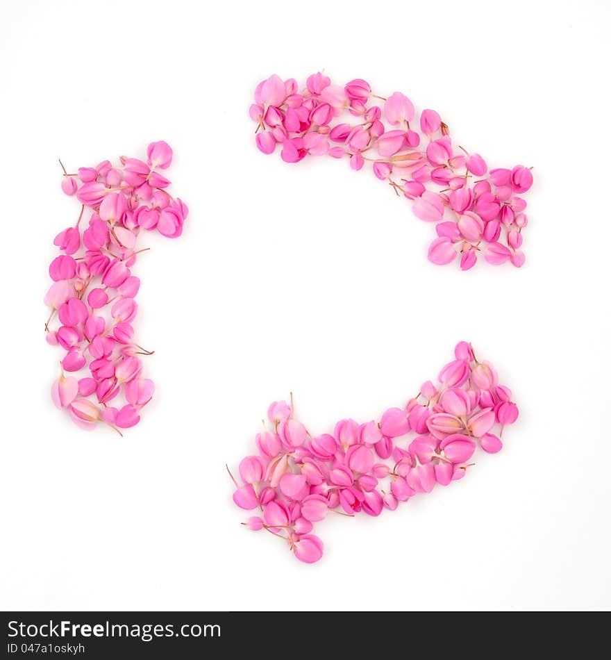 Pink flowers recycle sign on white background