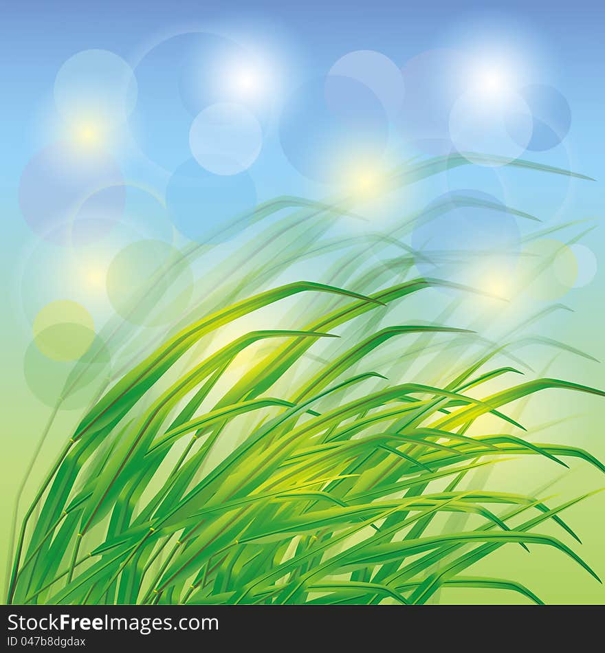 Spring background with fresh green grass