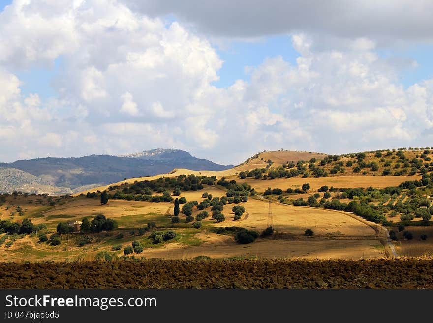 Rural landscape