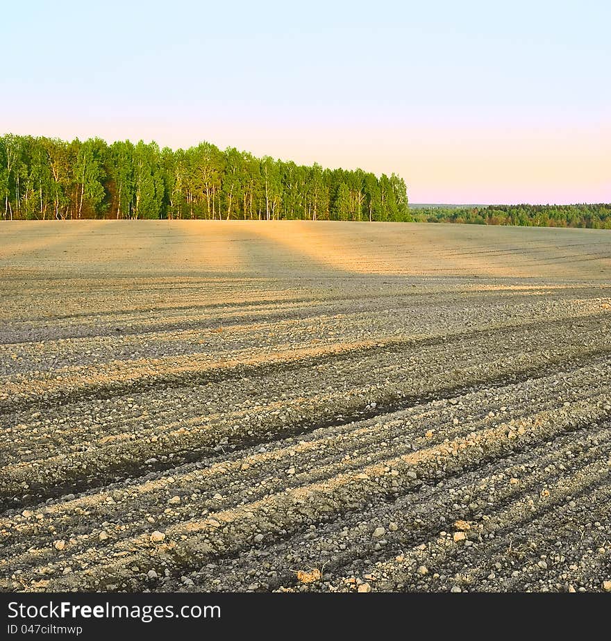 Plowed field at sunset