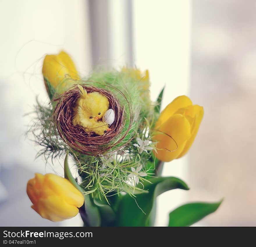 Gentle spring bouquet in a vase on a color cloth. Gentle spring bouquet in a vase on a color cloth