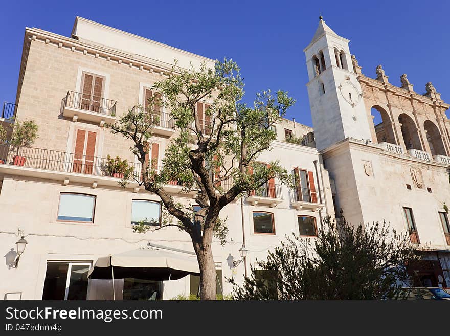 Church and old olive tree in Bari Italy. Church and old olive tree in Bari Italy