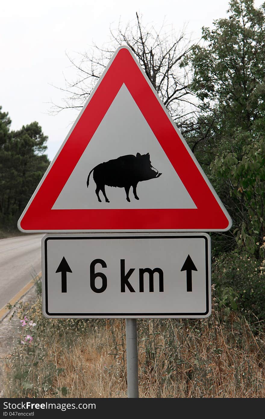 Red triangle warning sign of wild boar. Red triangle warning sign of wild boar