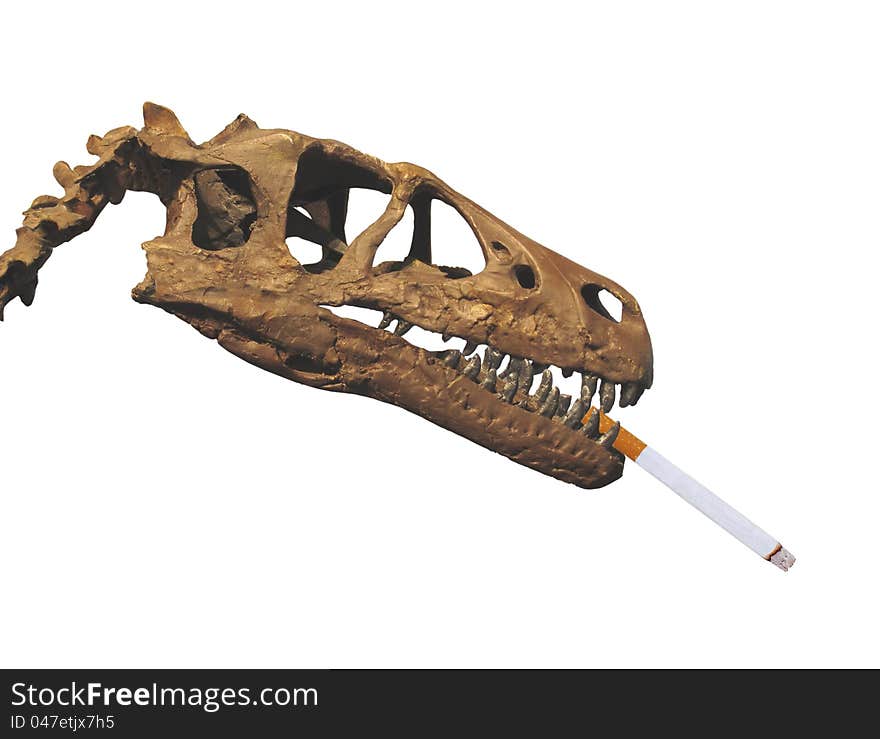 Dinosaur Fossil Head Smoking Cigarette