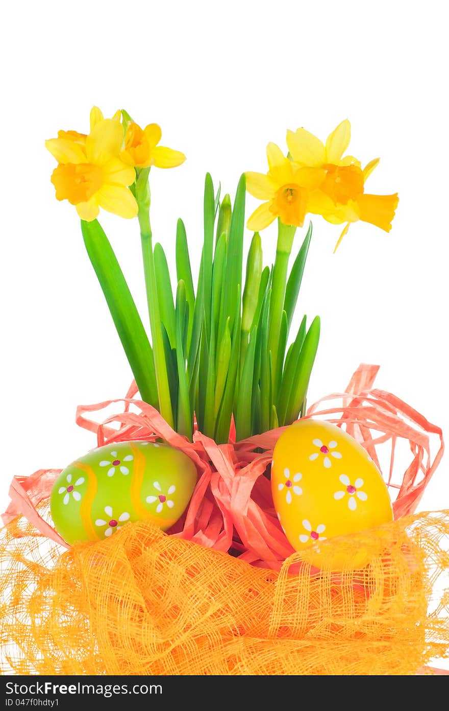 Easter eggs and spring yellow narcissus (daffodil) in flower pot with bright decoration isolated on white background. Easter eggs and spring yellow narcissus (daffodil) in flower pot with bright decoration isolated on white background