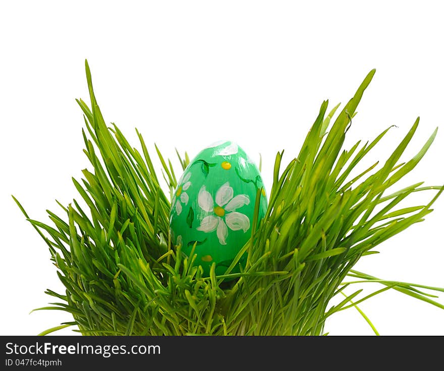 Green easter egg in  green grass. Green easter egg in  green grass