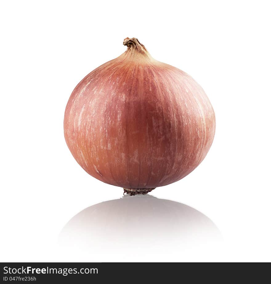 Onion on white background