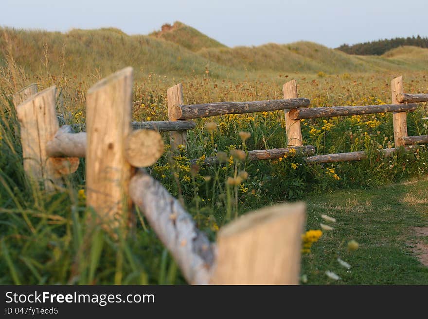 Fence, Wildflowers and grass cover the sand dunes,Prince Edward Island,Canada