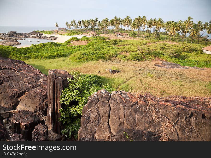 Beautiful beach of ocean