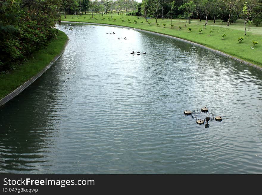 Canal water in the garden in Thailand