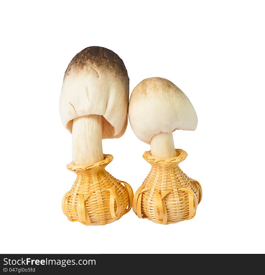 Two mushroom in small basket