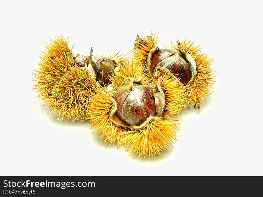 Chestnuts isolated on white background