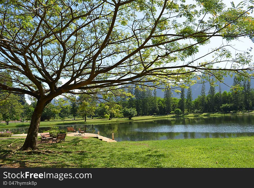 Beautiful Park in Phangnga,Thailand