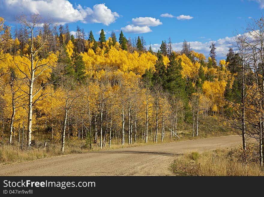 Mountain Road