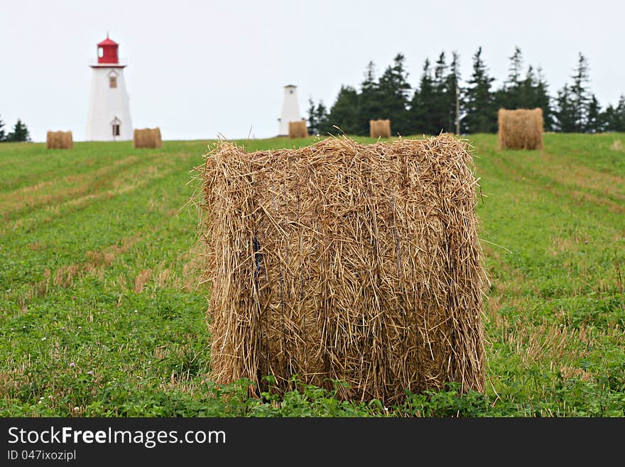 Hays and lighthouse