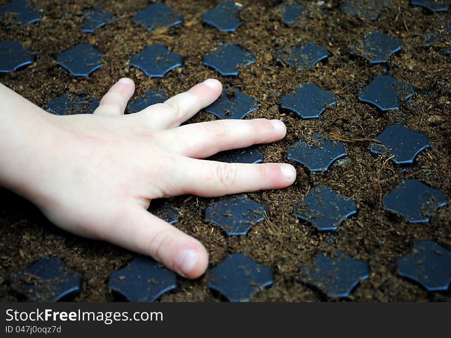 Kid Hand Over A Sown Seedbed