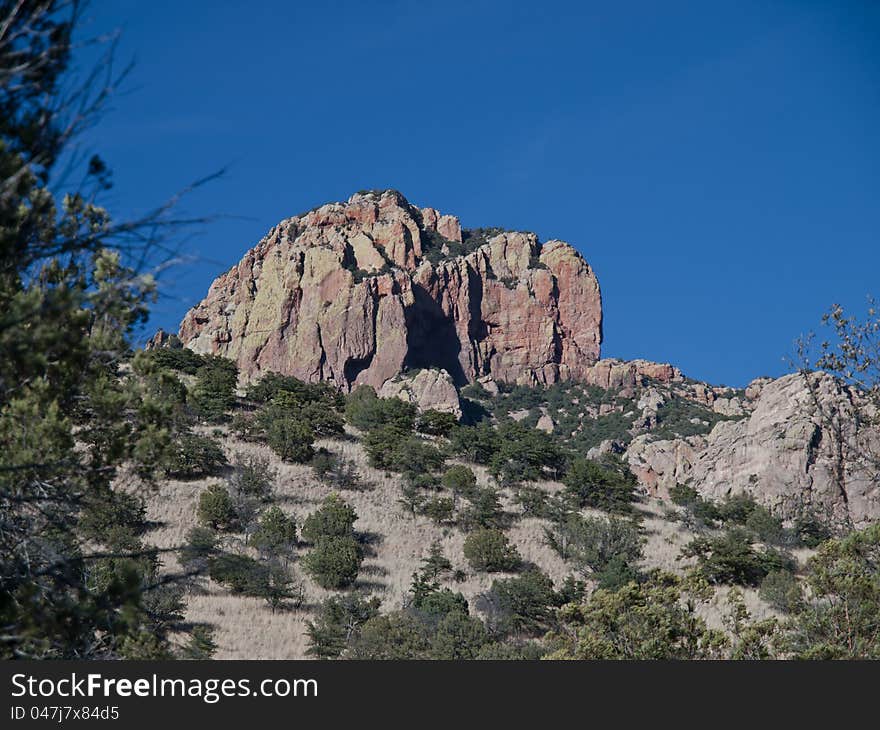Blue skies, red rocks, and arid plants make an authentic Southwest landscape