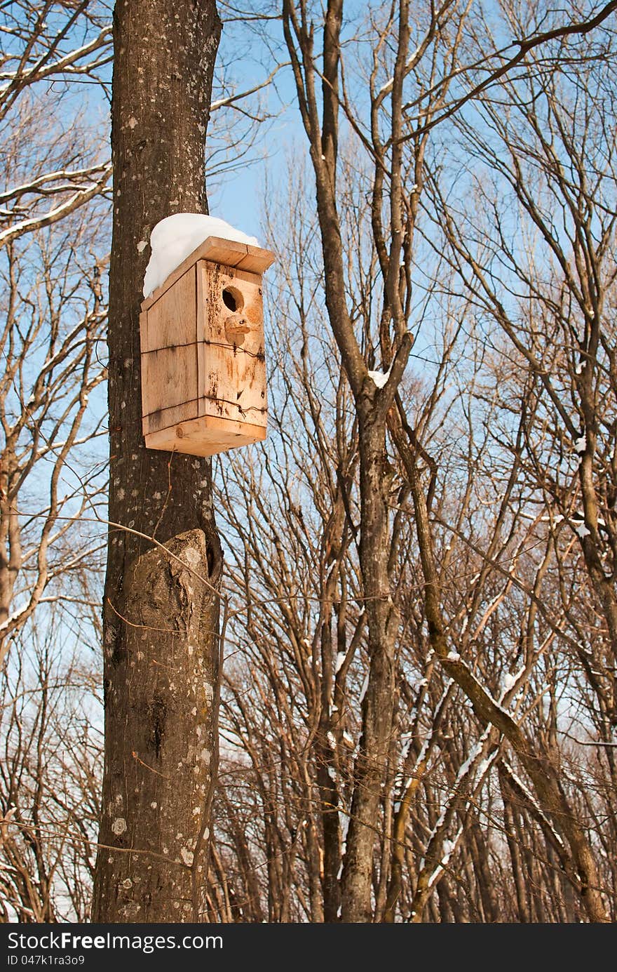 Birdhouse in winter park