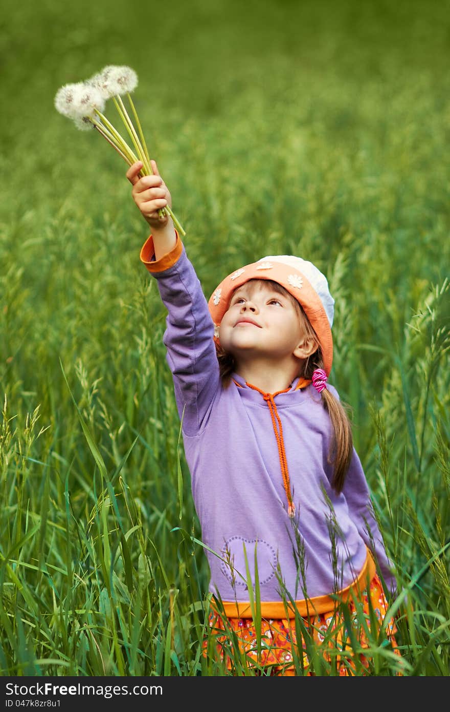 Little girl with puffy dandelions in your hand