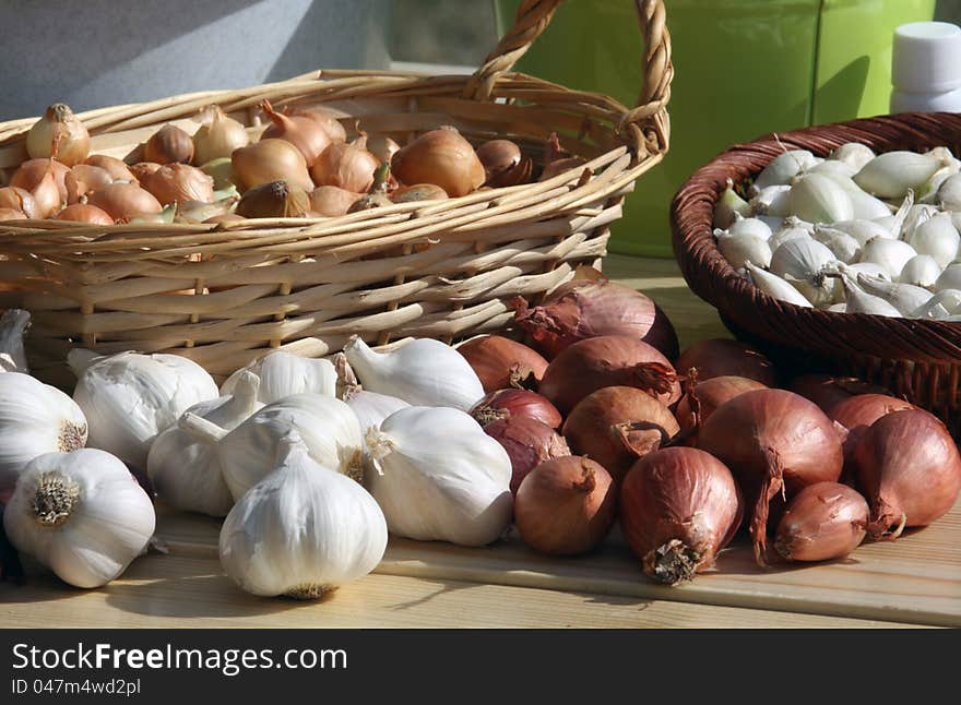 Garlic Onion And Eschalot Seed