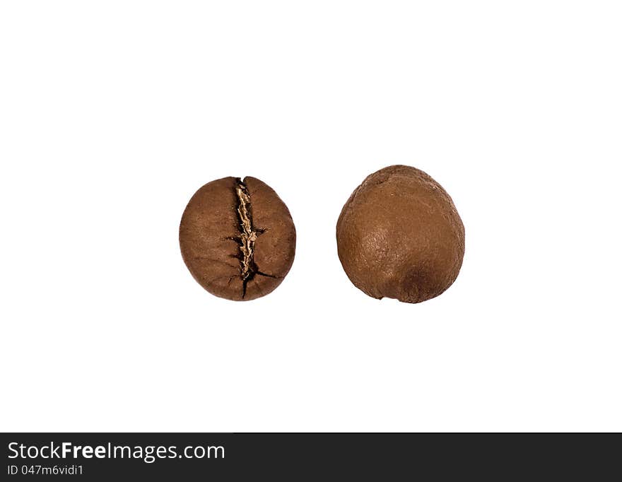 Two coffee beans