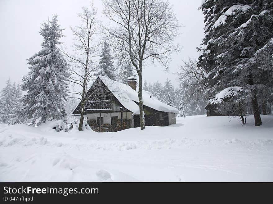 Landscape with cottage in the Eagle Mountains, snow-covered cottage between two trees, an overcast winter day with a cottage, winter in the Czech countryside, a place of rest and recreation. Landscape with cottage in the Eagle Mountains, snow-covered cottage between two trees, an overcast winter day with a cottage, winter in the Czech countryside, a place of rest and recreation