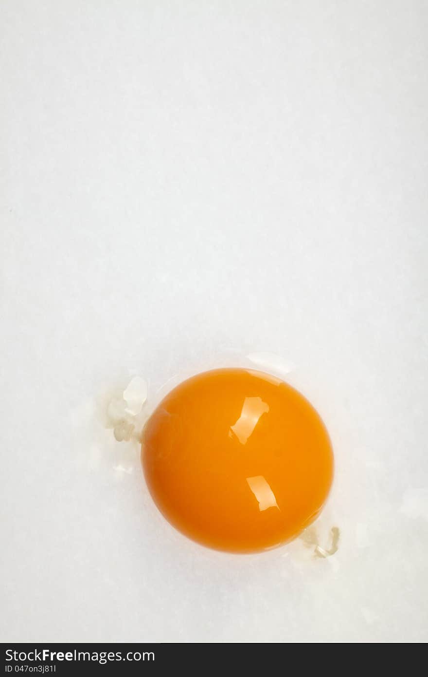 Egg