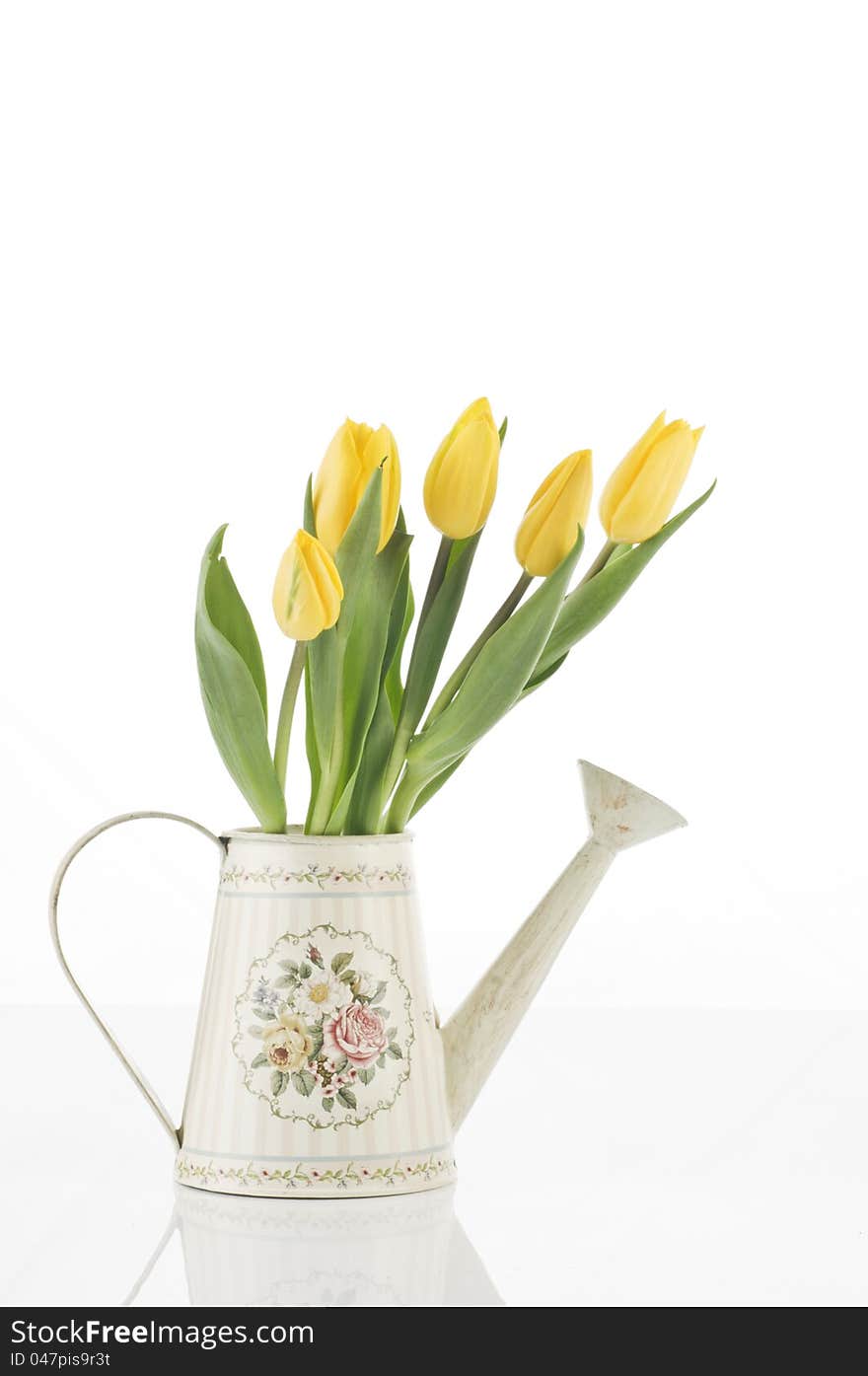 Beautiful spring cheerful tulips in watering can isolated over white background. Beautiful spring cheerful tulips in watering can isolated over white background