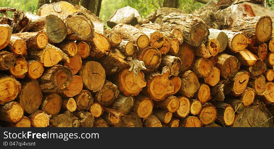 Closeup of woods stacks in farm. Closeup of woods stacks in farm