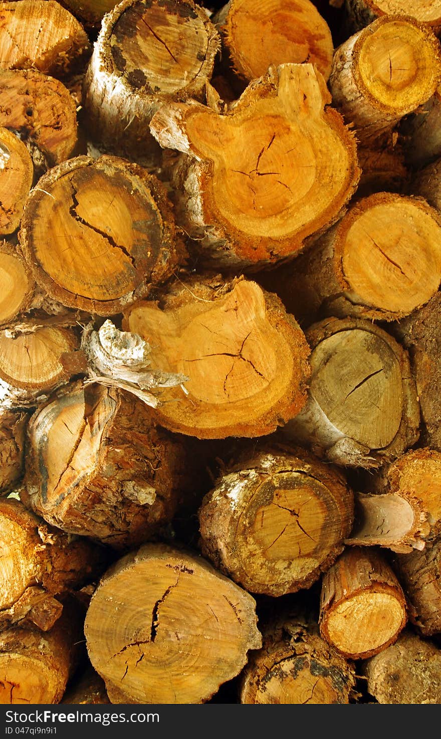 Closeup of woods stacks in farm. Closeup of woods stacks in farm