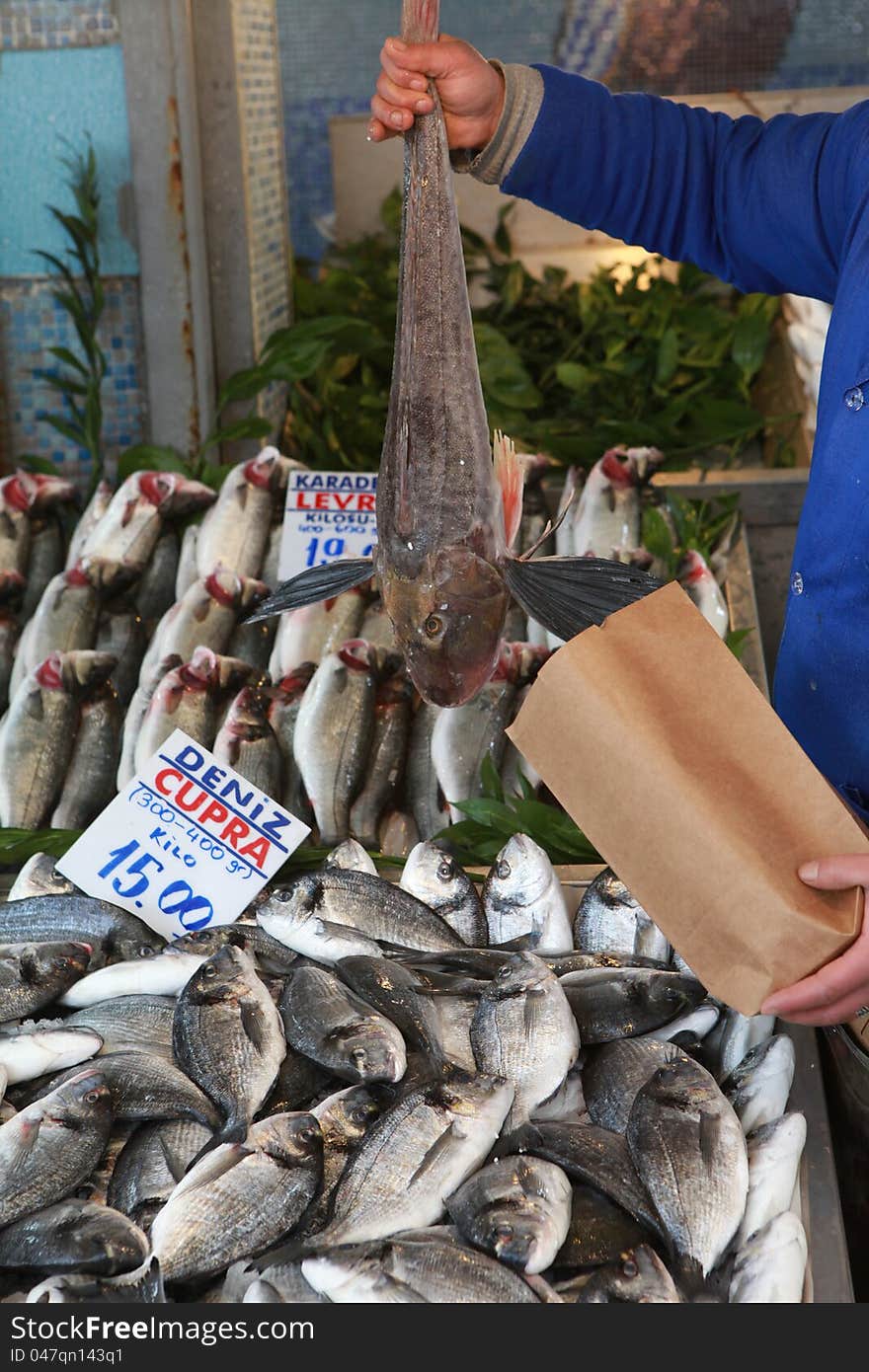 The fisherman keep the red gurnard. View of fish market. The fisherman keep the red gurnard. View of fish market.