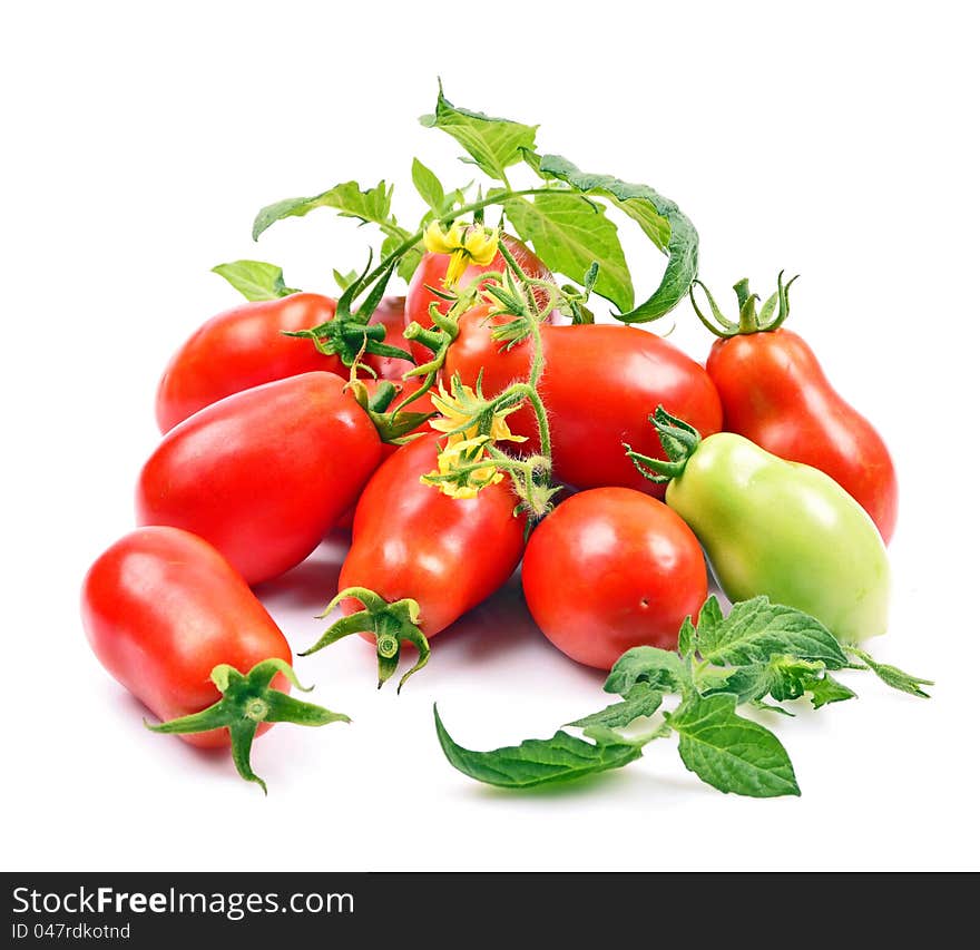 Close-up variety ripened red tomatoes isolated