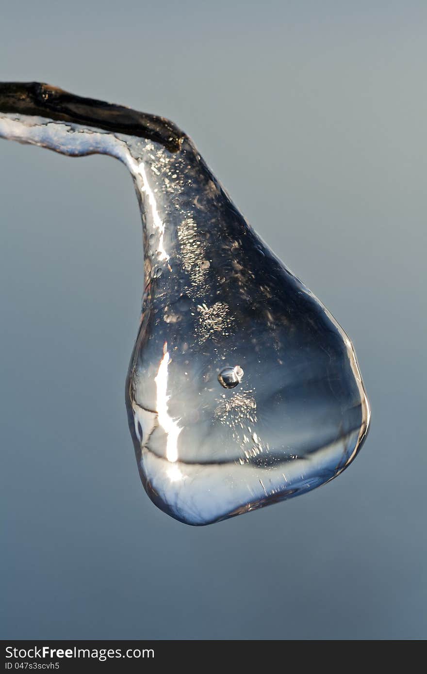 Big transparent icicle hanging from a branch, soft blurred blue background.