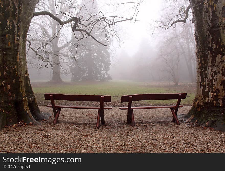 Two benches in the foggy wood