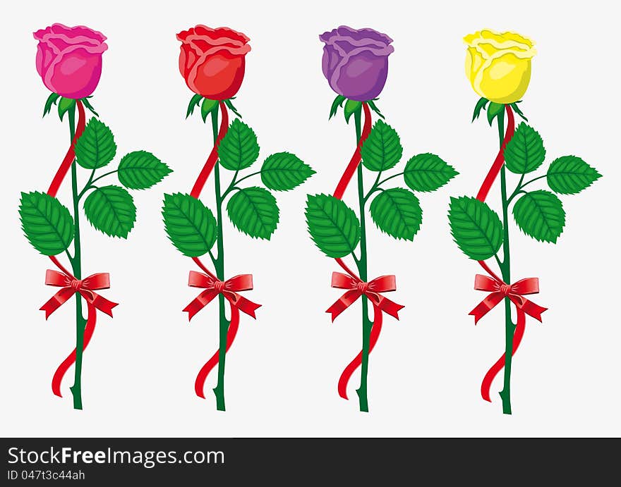 Four color  roses with  red bow and ribbon