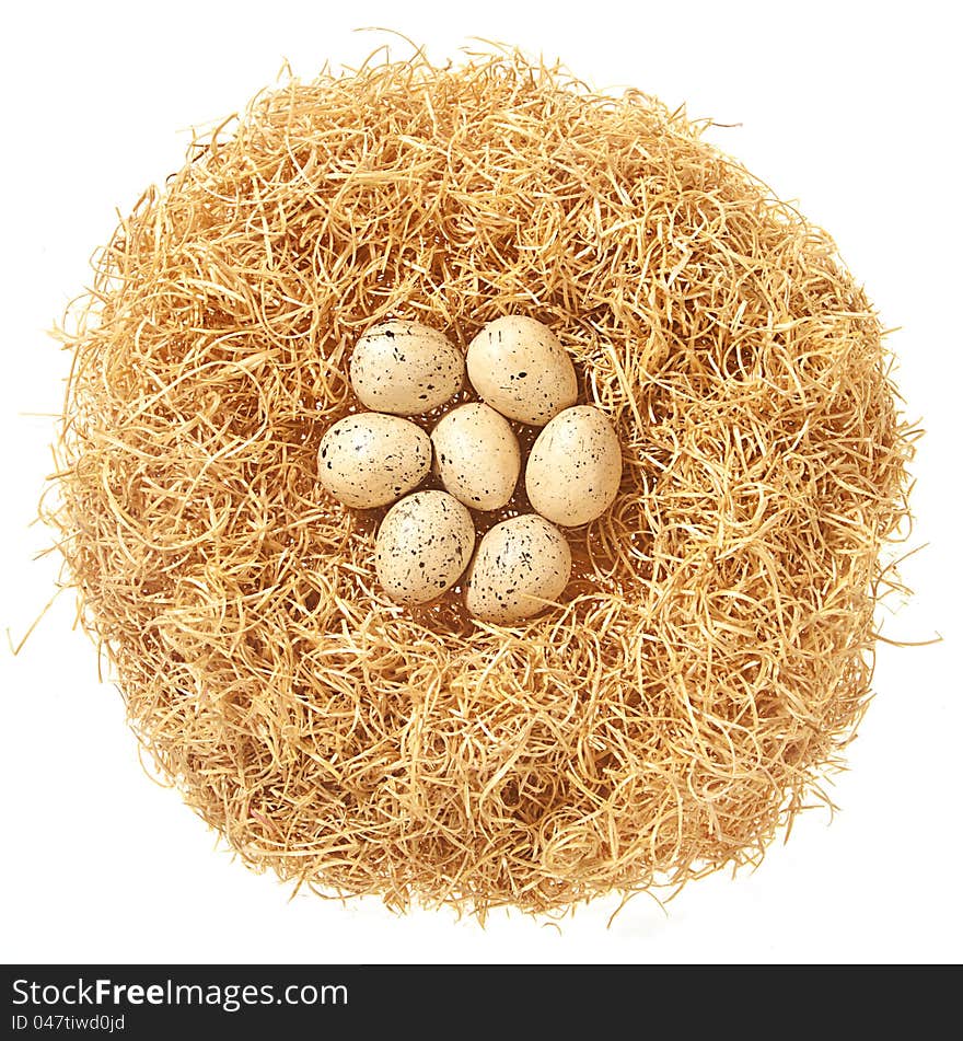 Fresh white eggs on hay nestle