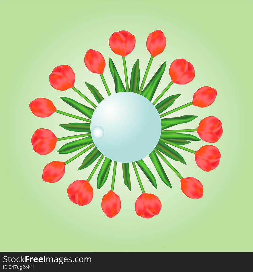 Red tulips illustration