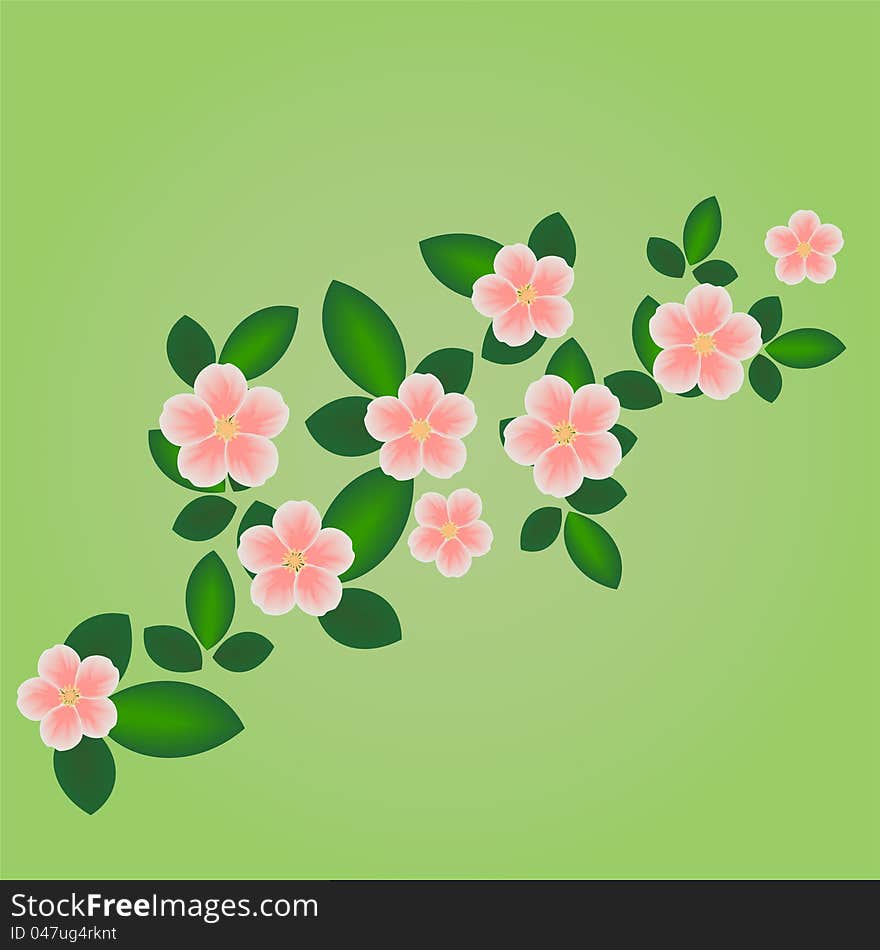 Realistic pink blossom with foliage