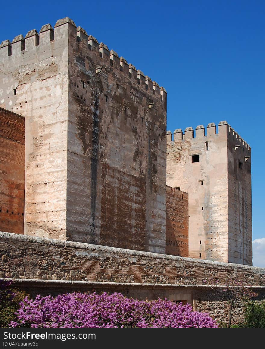 Cistern Court (Plaza de los Aljibes), East side of the castle with pink tree blossom in foreground, Palace of Alhambra, Granada, Granada Province, Andalucia, Spain, Western Europe.