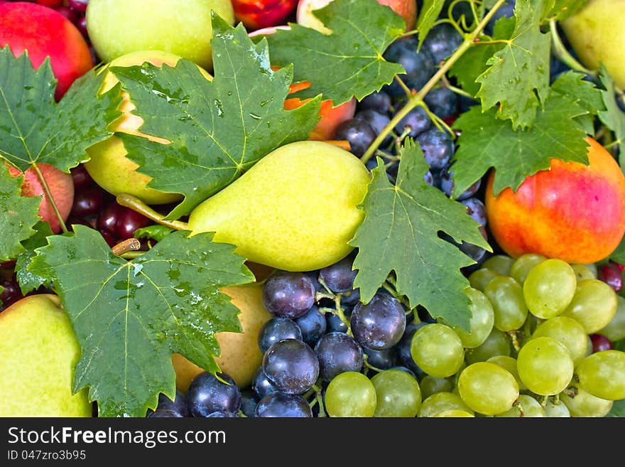 Fresh organic fruits