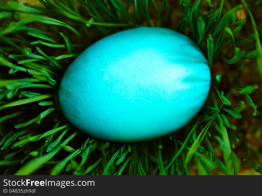 Easter eggs on green grass