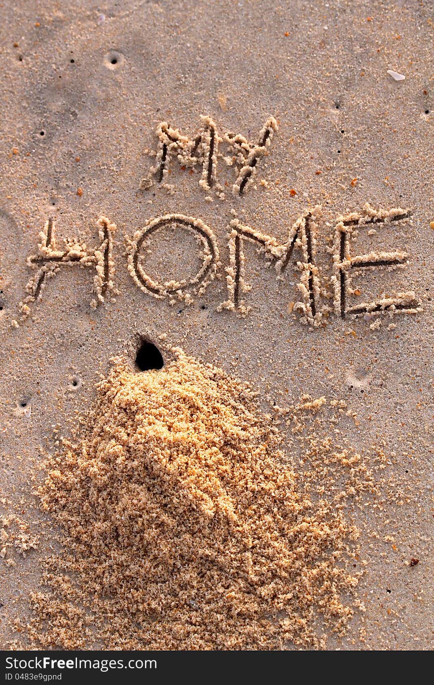 Crab hole and a pile of sand with words my home on a beach