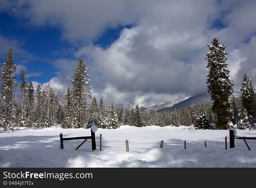 From the Jewell Basin Road