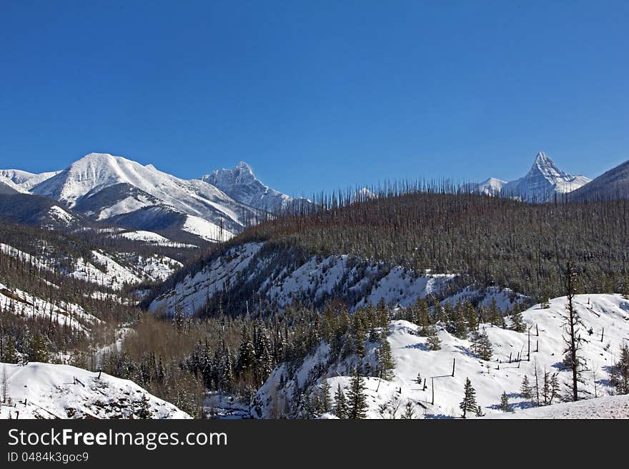 This image of the snowcovered mountain peaks and the stream flowing down the mountain valley was taken in Glacier National Park, MT. This image of the snowcovered mountain peaks and the stream flowing down the mountain valley was taken in Glacier National Park, MT.