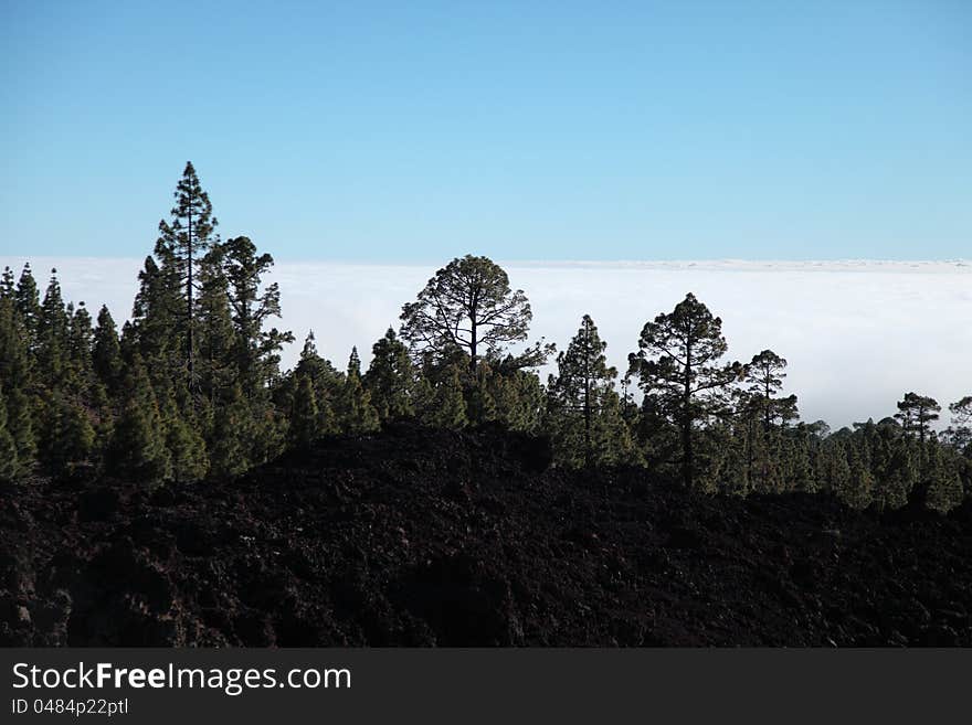 Evening light on the lava fields of the Teide volc