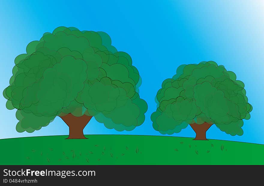 Illustration of two spring or summer trees . Illustration of two spring or summer trees .