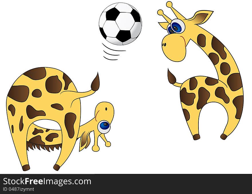 Two giraffes throw a football to each other. Two giraffes throw a football to each other