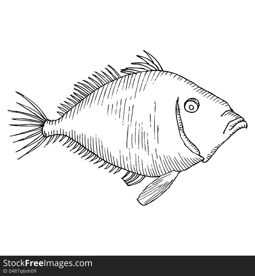 Fish drawing- black and white