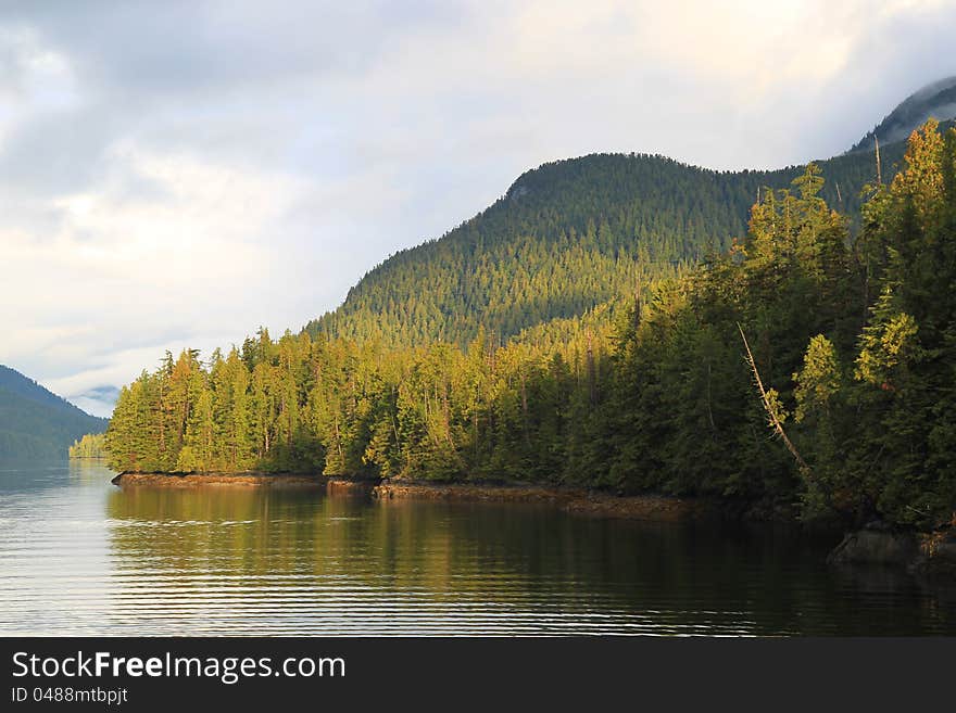 Sunlit shoreline of the Inside Passage, Jackson Narrows, Alaska. Sunlit shoreline of the Inside Passage, Jackson Narrows, Alaska